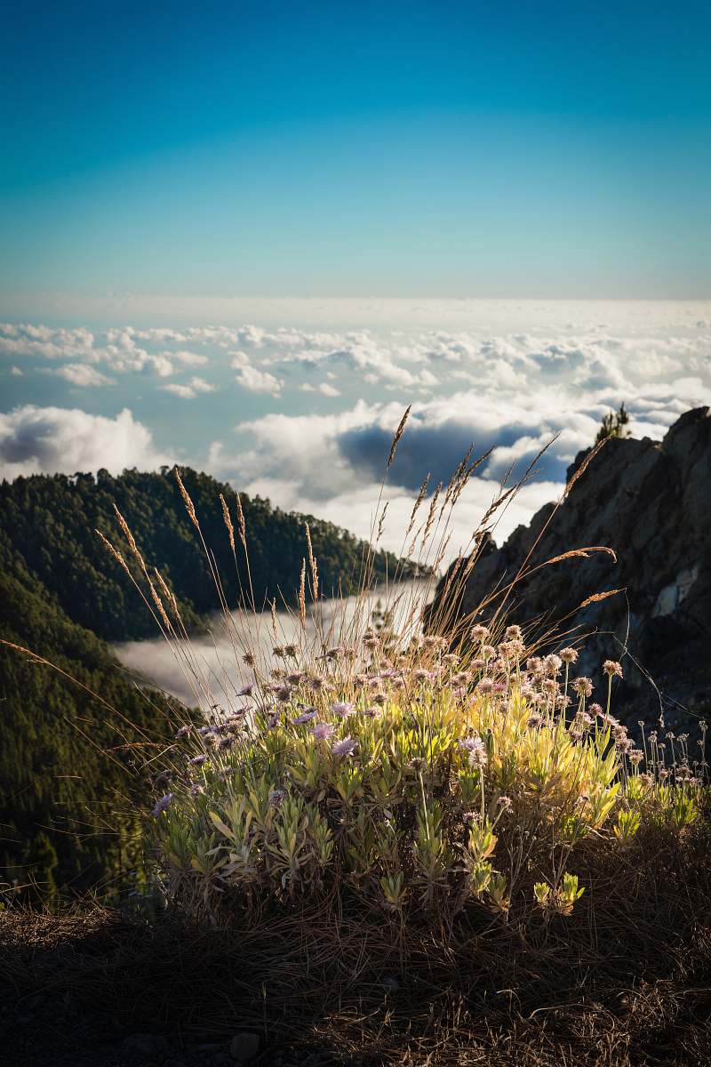 nature aerial view of mountain and clouds mountain