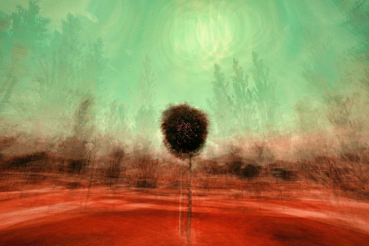 nature black tree abstract painting tree