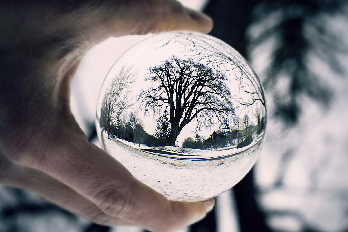sphere bare tree through clear glass ball human