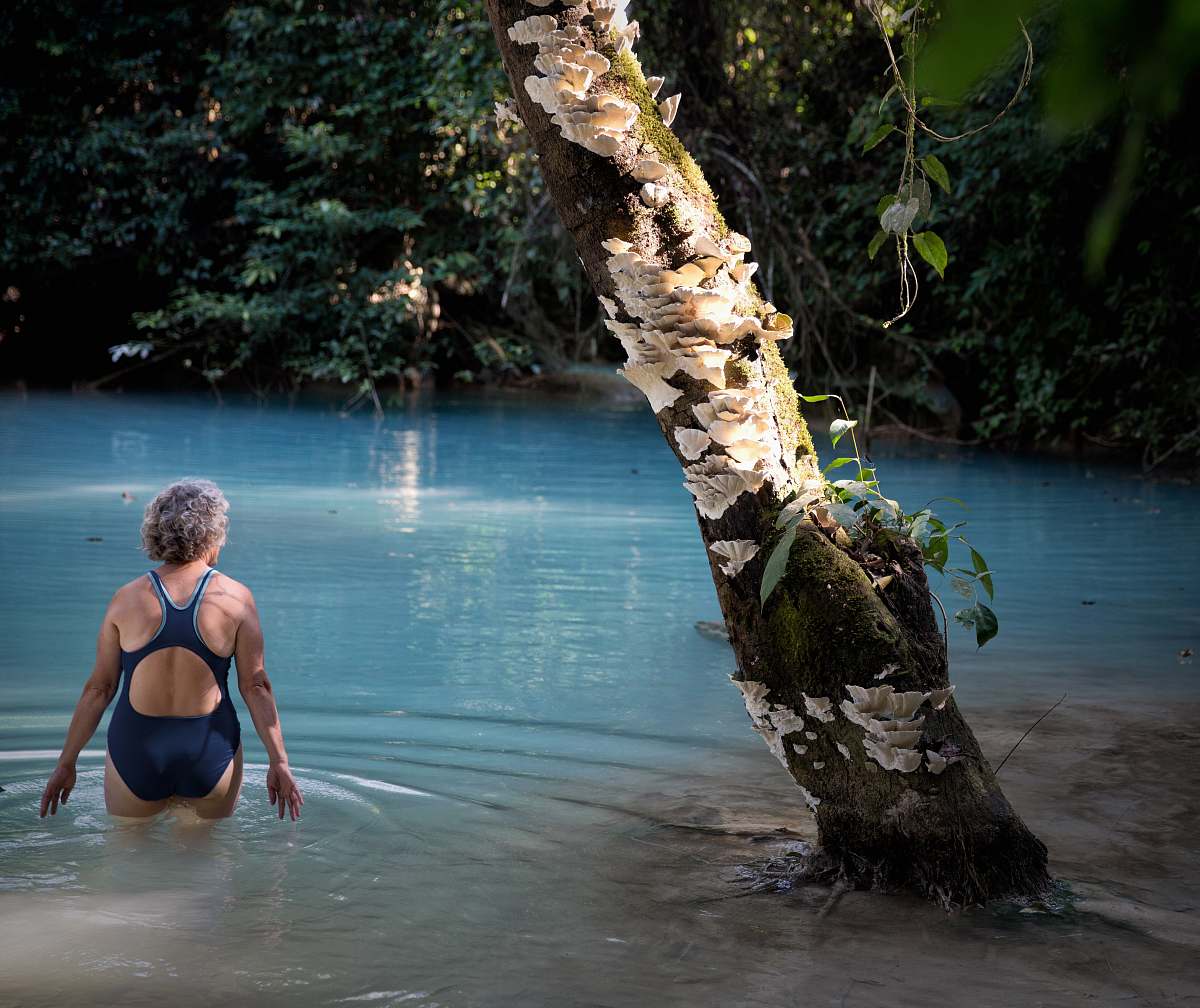 human woman wearing bikini near tree tree