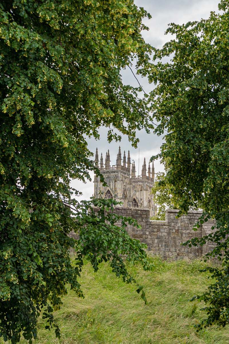 tower castle near trees steeple