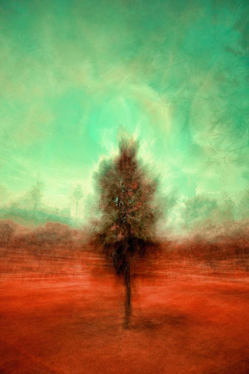 plant painting of brown tree nature