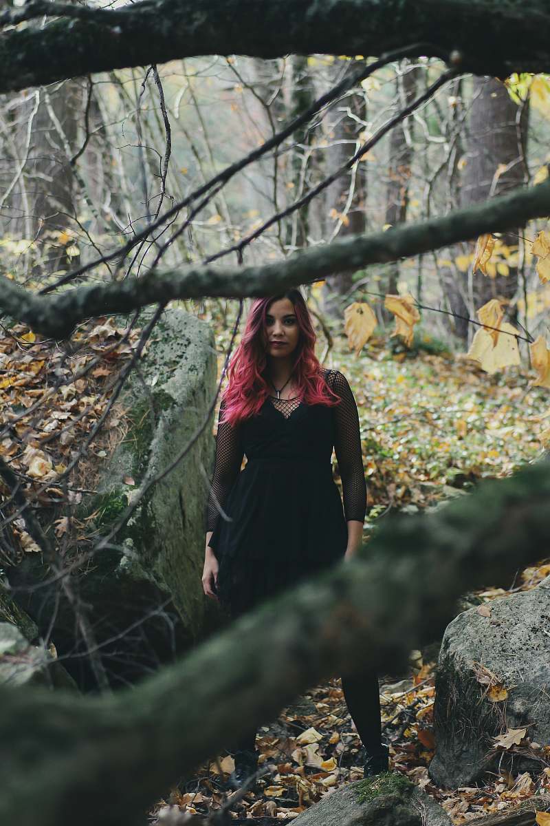 apparel women's black long-sleeved dress plant