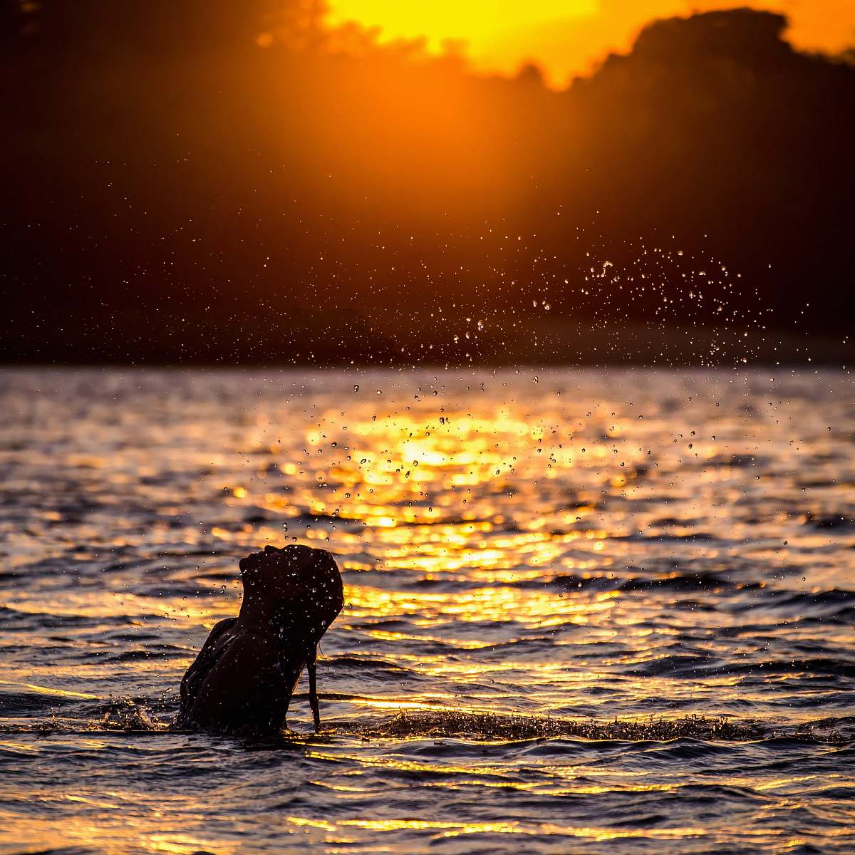 splash woman in body of water near trees during sunset magic island resort