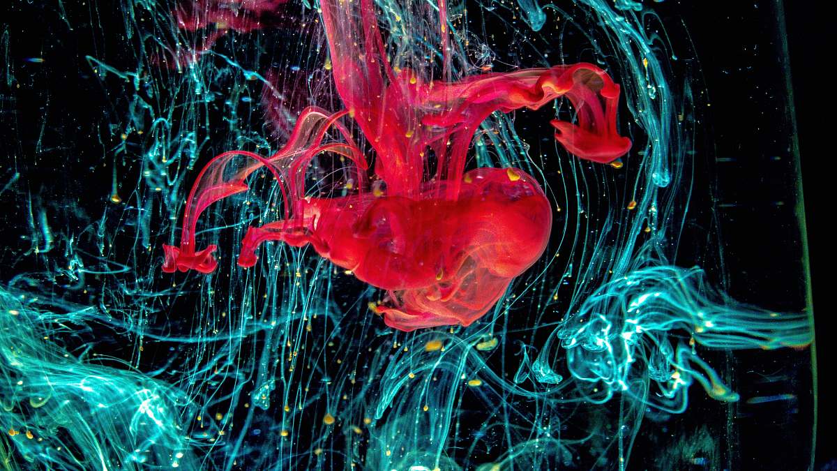 jellyfish kirlian photography of LED lights invertebrate