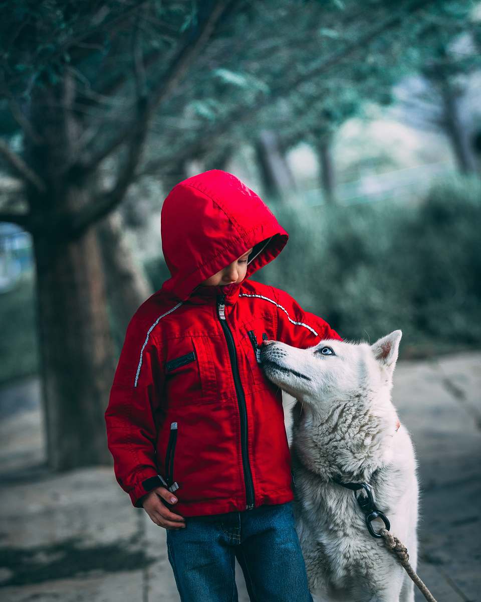 clothing boy standing beside the husky dog hood