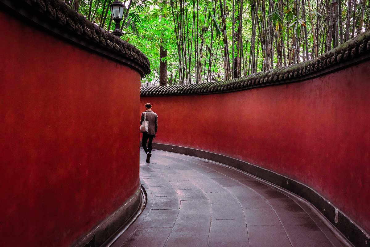 flora man walking on hallway surround by trees plant