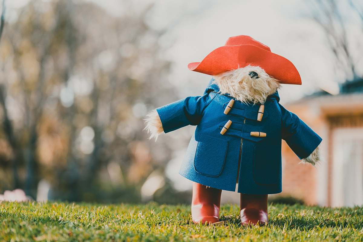 red bear wearing blue coat teddy