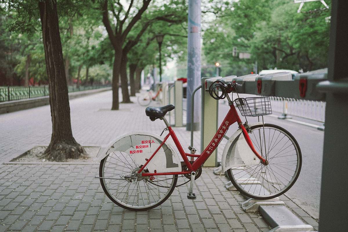 bike white and red bike parked beside tree beijing