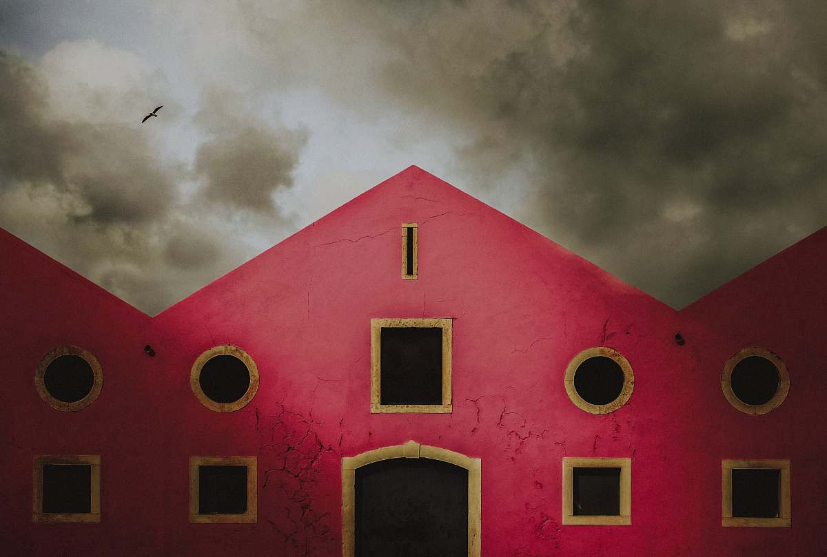 animal pink and white concrete house painting lisbon
