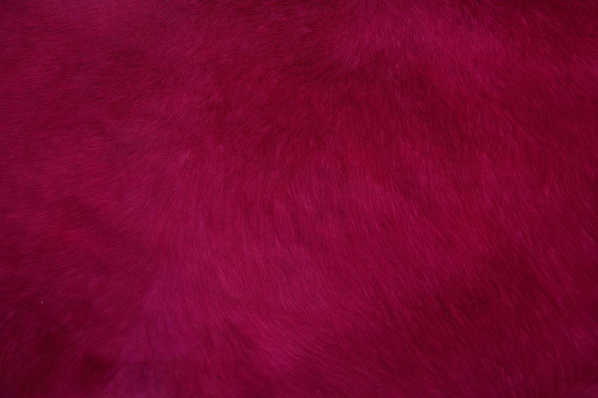 texture  kanpur