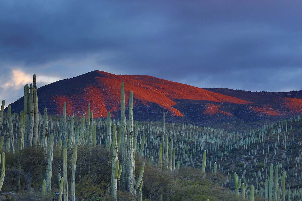 mexico mountain peak during daytime landscape