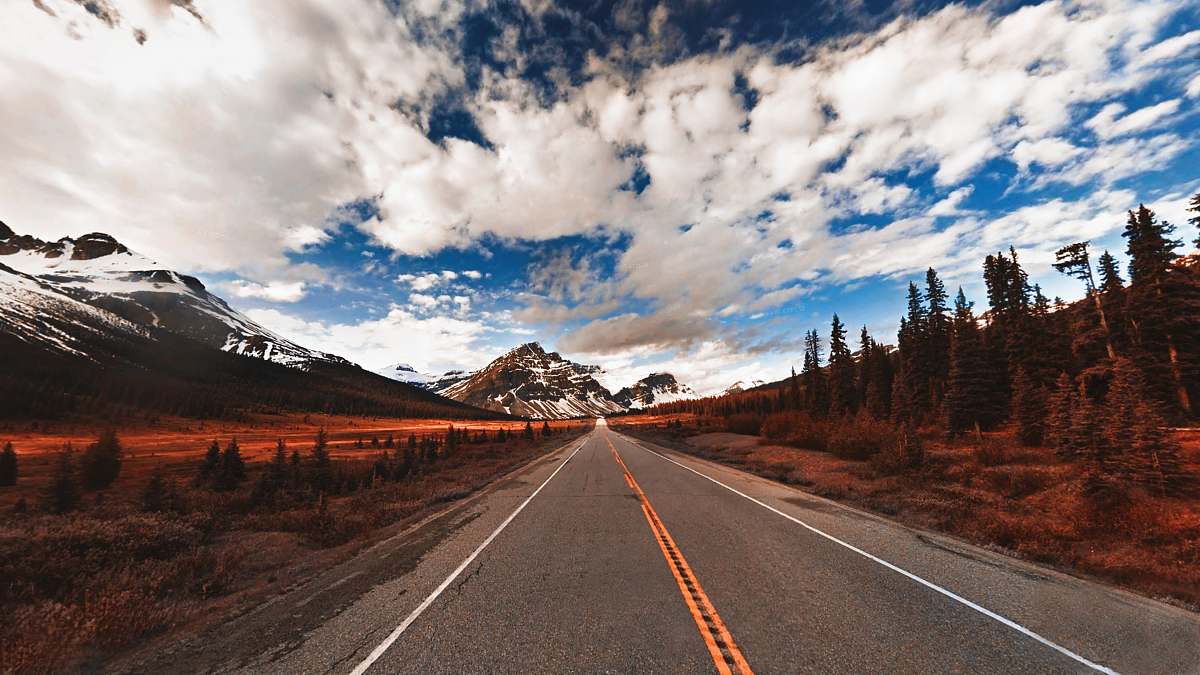 road landscape photography of gray ashaplt road between green leafed trees and brown grasses under cloudy sky during daytime alberta