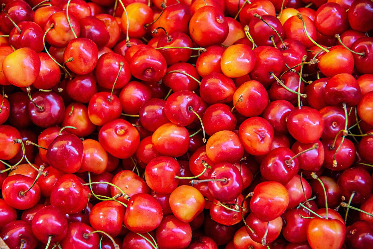 fruit red berry lot produce