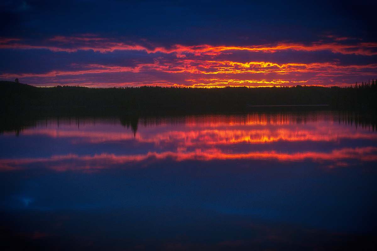 sunset silhouette of trees beside body of water during sunset dusk