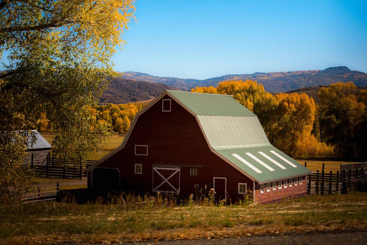 building barn surrounded by trees barn