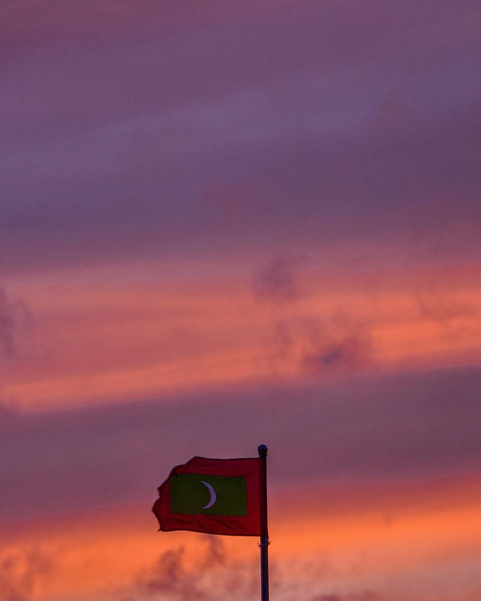 symbol red and green flag nature