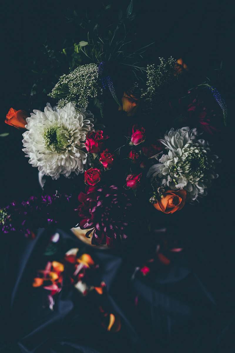 floral assorted-color petaled flowers dark