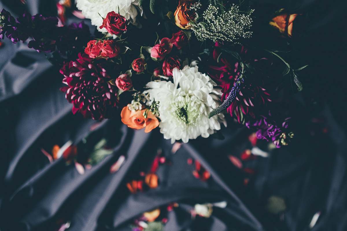 floral focus photo of red, white, and yellow petaled flowers petal