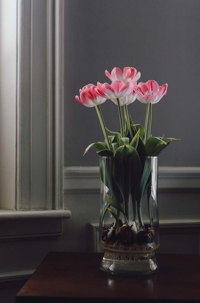 vase pink-and-white flower centerpiece jar
