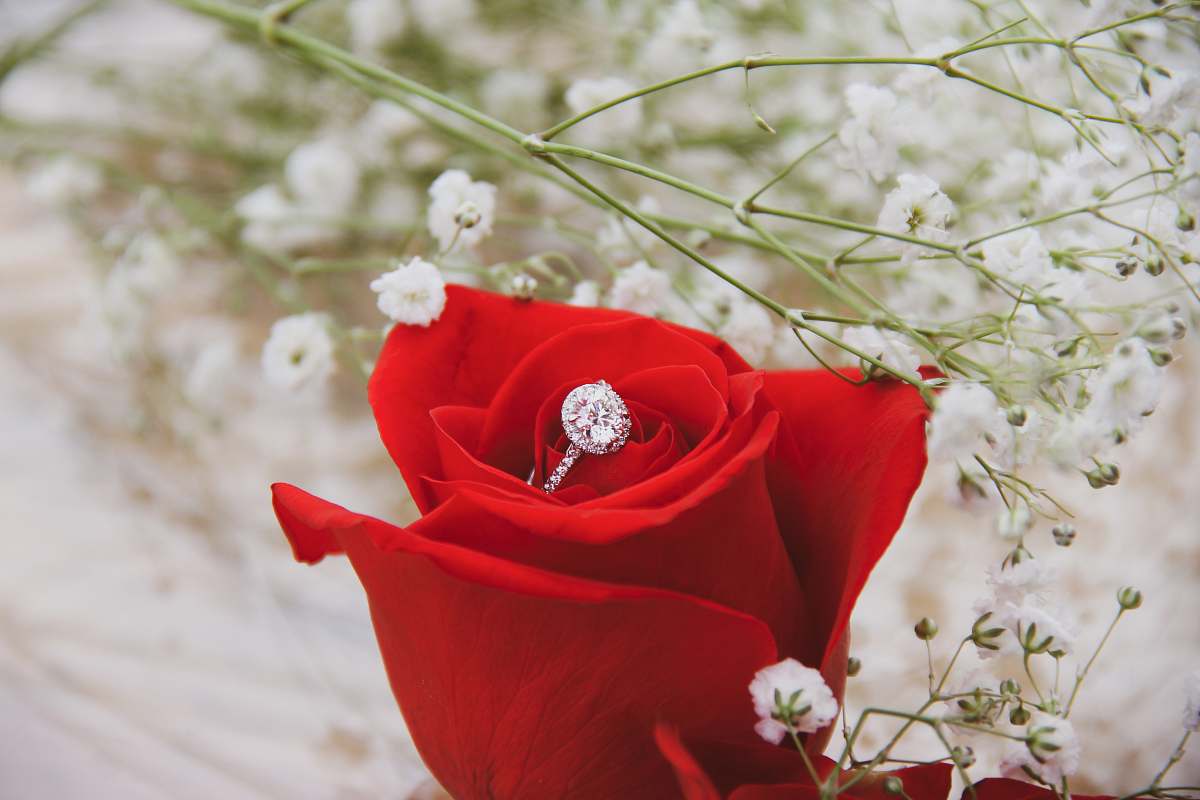 rose silver-colored ring on top of rose plant