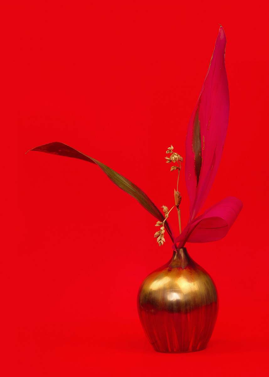 plant white flowers in gold vase vase