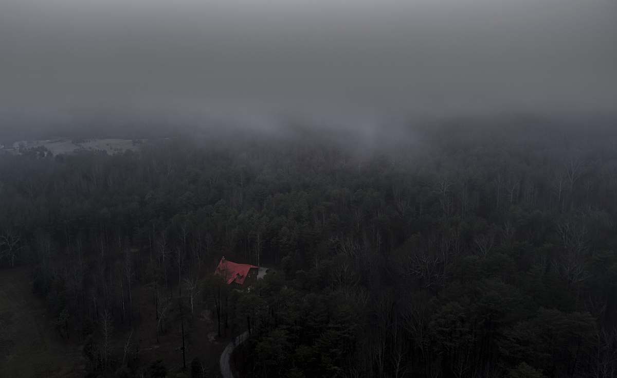 grey aerial photo of trees and house forest