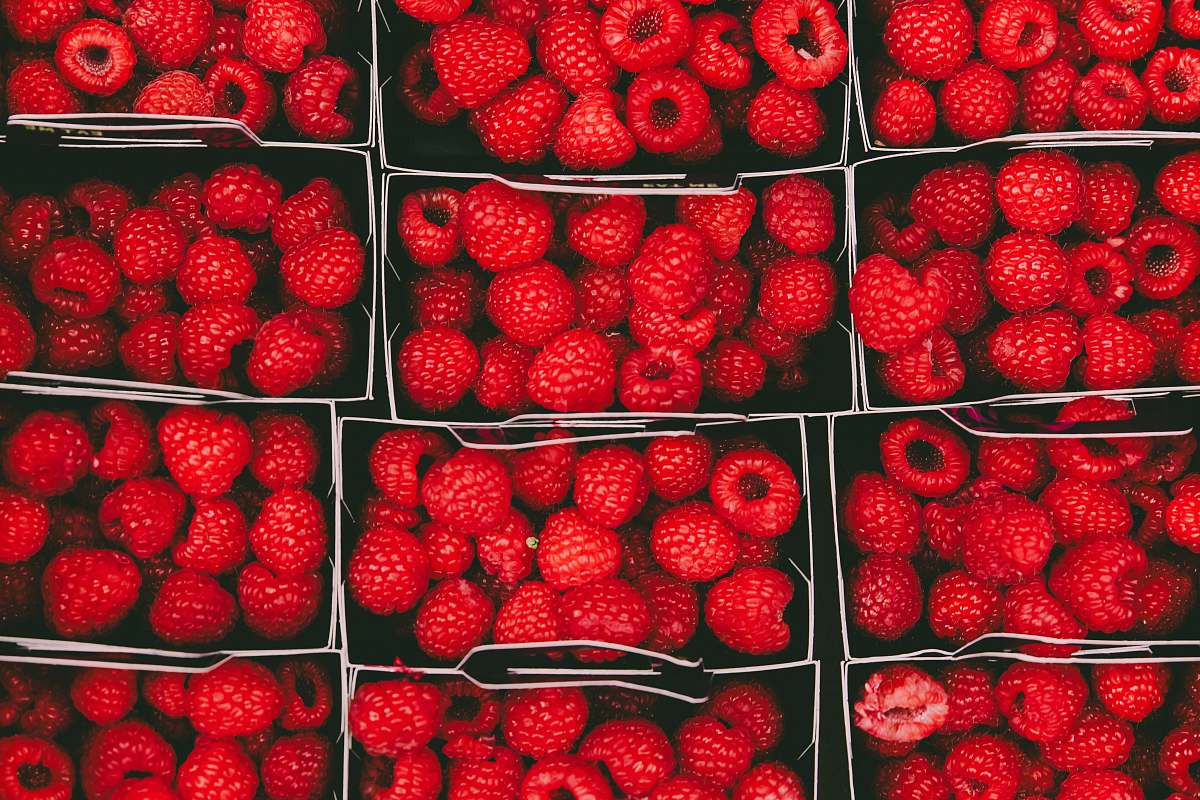 fruit bunch of raspberries raspberry