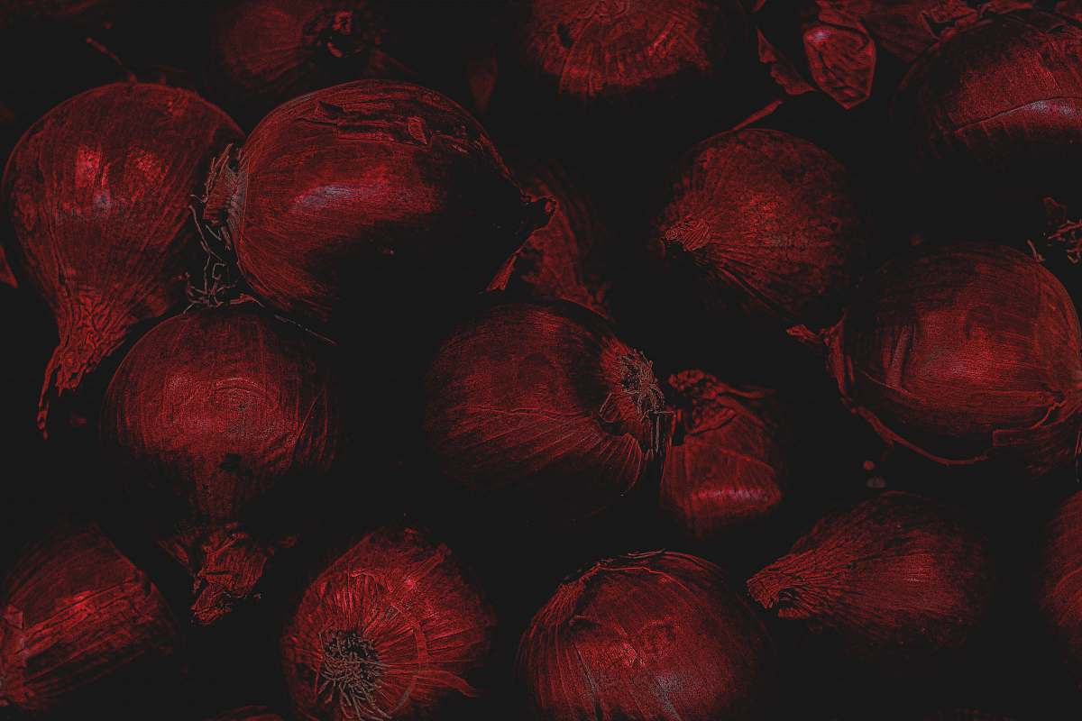 flora red bauble lot fruit