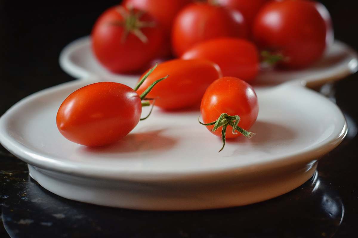 tomato red tomatoes on white ceramic plate vegetable