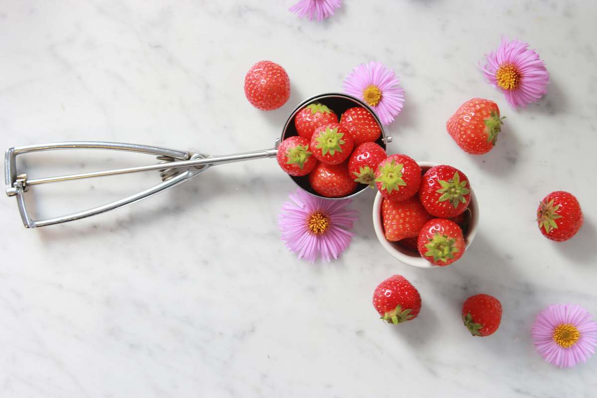 fruit strawberries on gray steel scooper strawberry