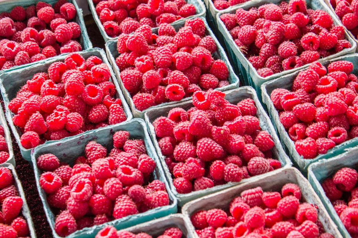 raspberry  produce