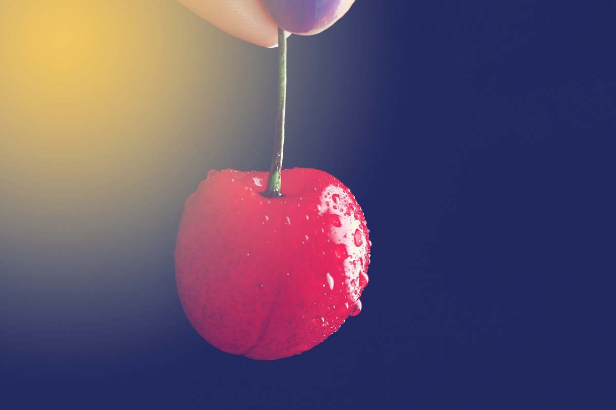 cherry selective focus photography of person holding cherry food