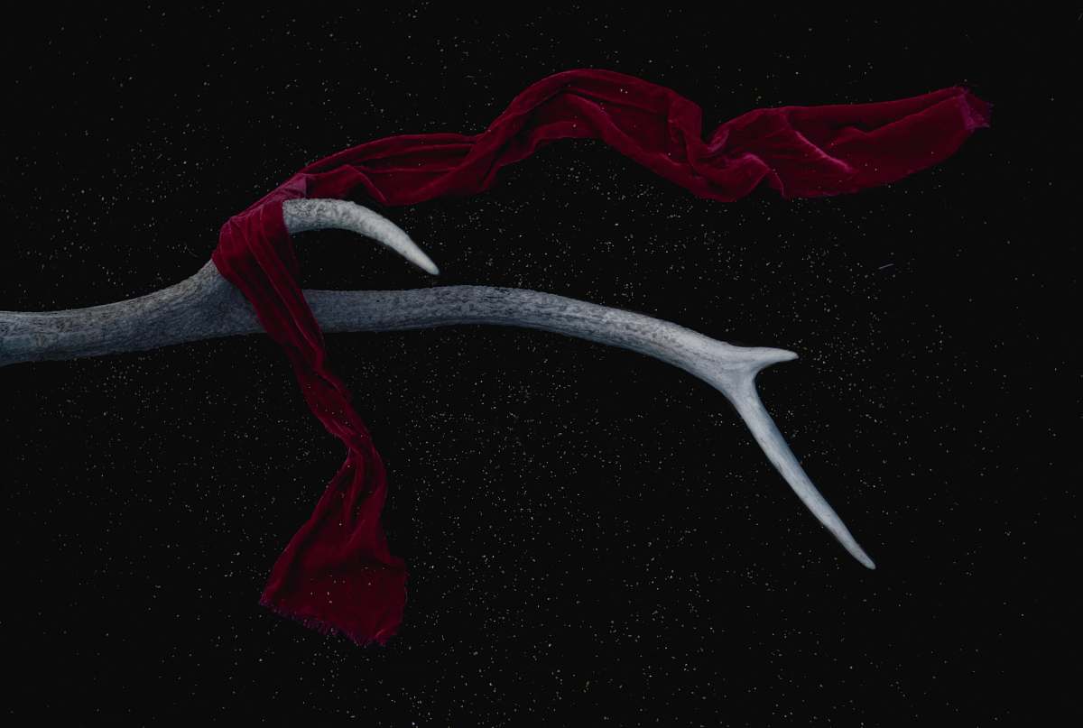 dark red scarf on antler antler