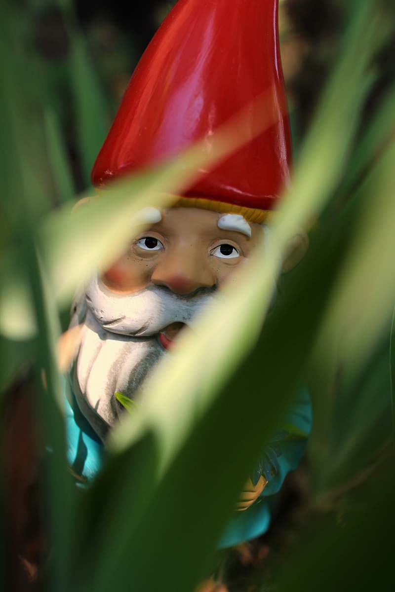 person gnome standing on green grass during daytime people