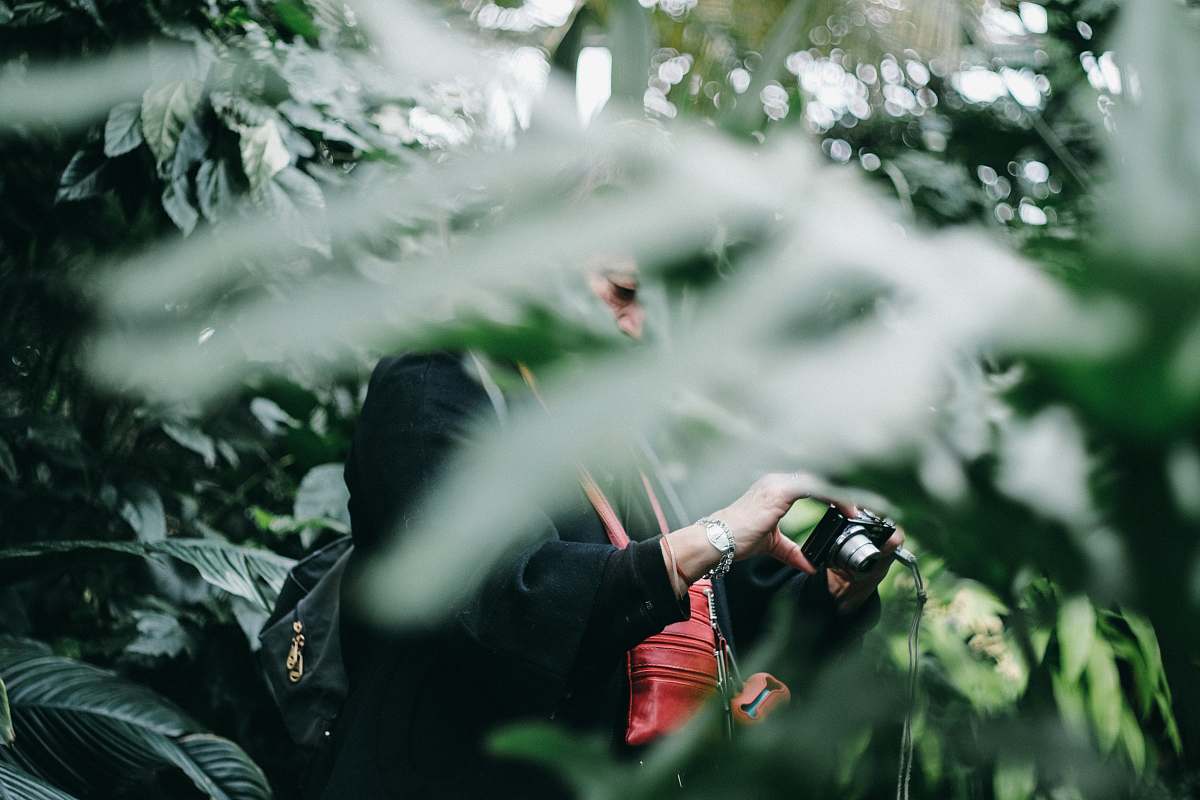 person man wearing black jacket looking at black point-and-shoot camera surrounded by green trees during daytime photographer