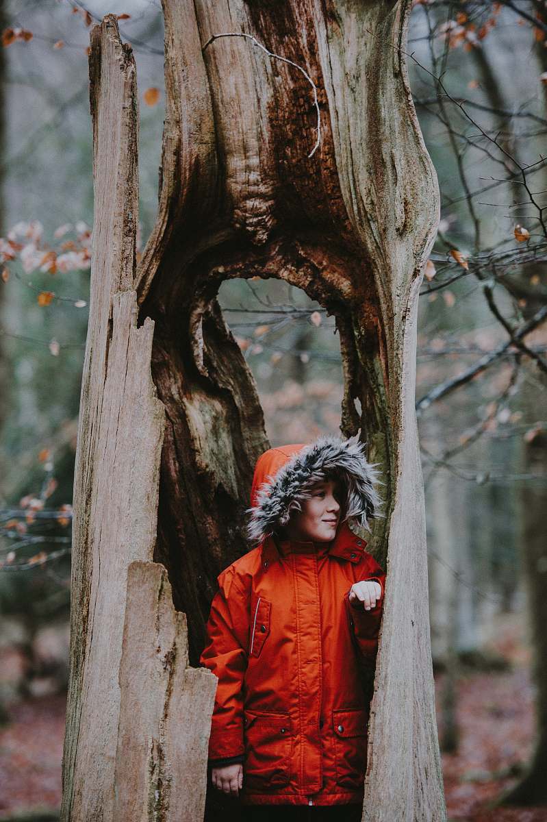 person person hiding in tree people