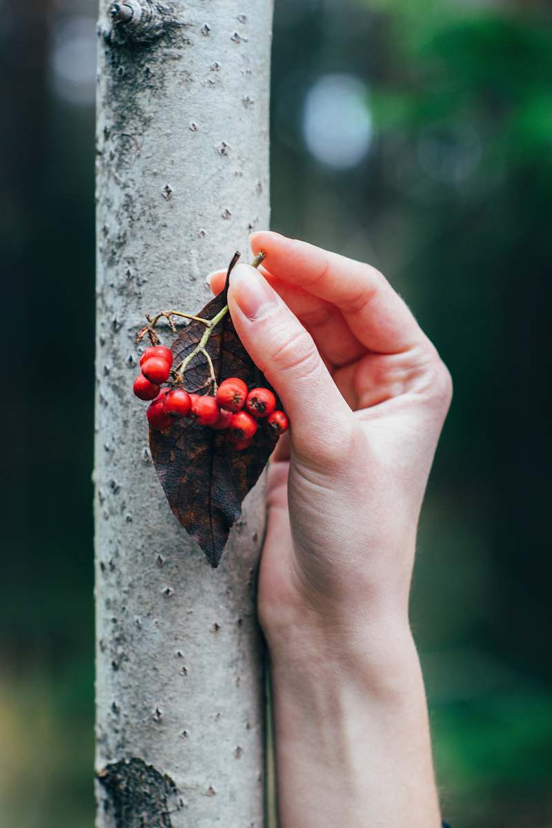 person person holding red cranberries people