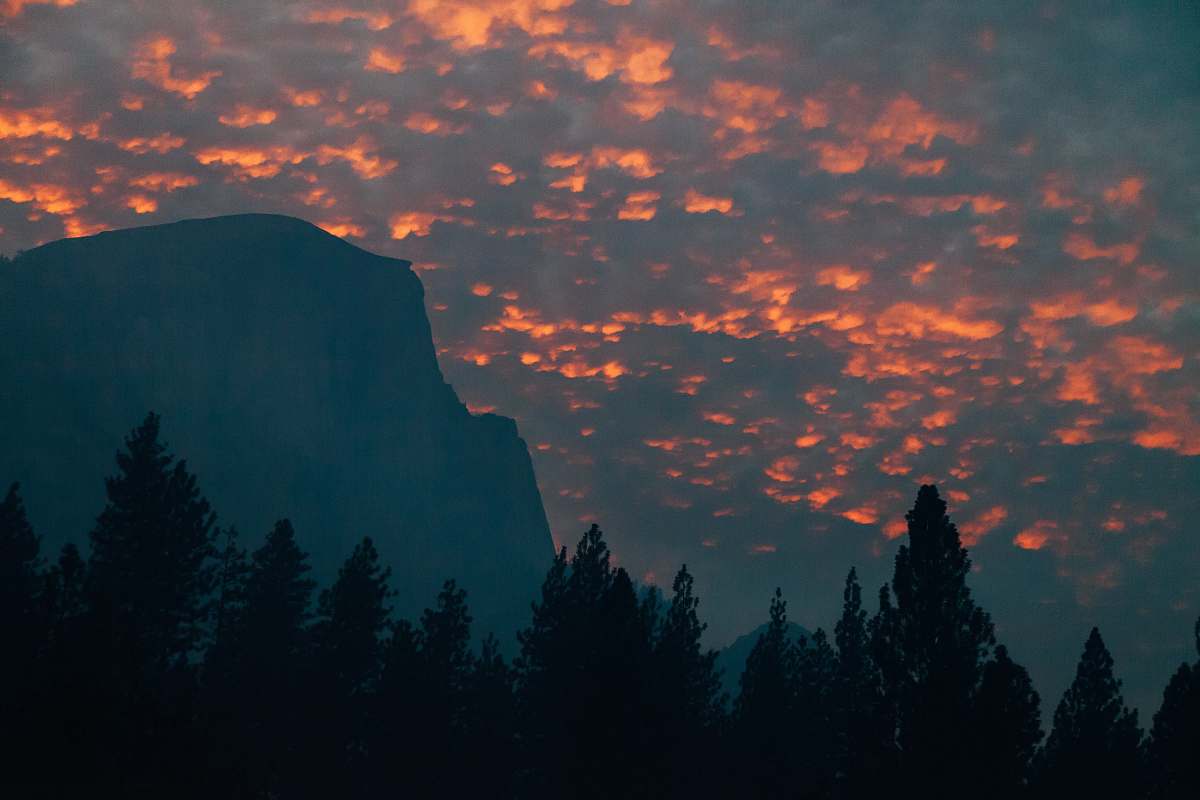person silhouette of trees near mountain during golden hour people