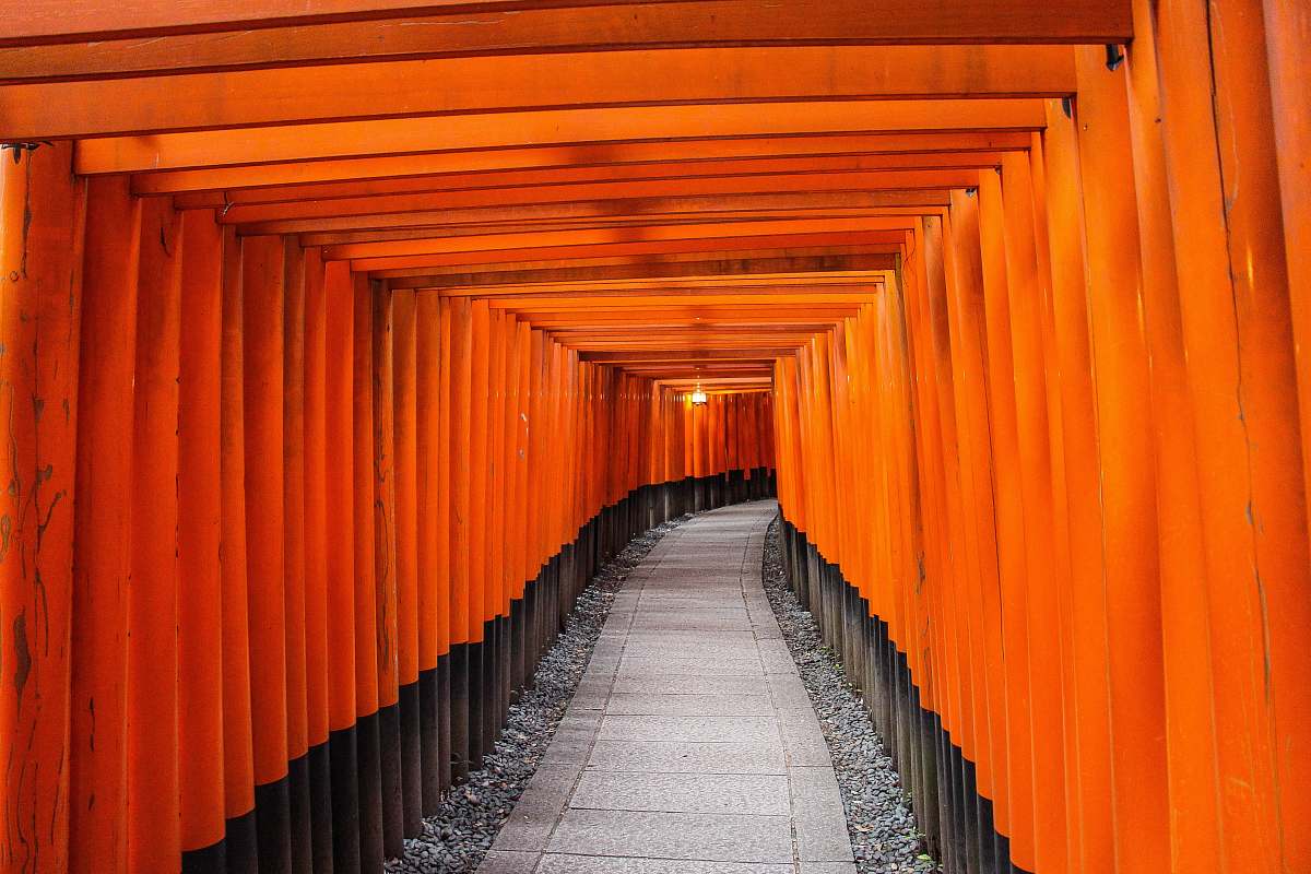 gate pathway between brown wooden trellis torii