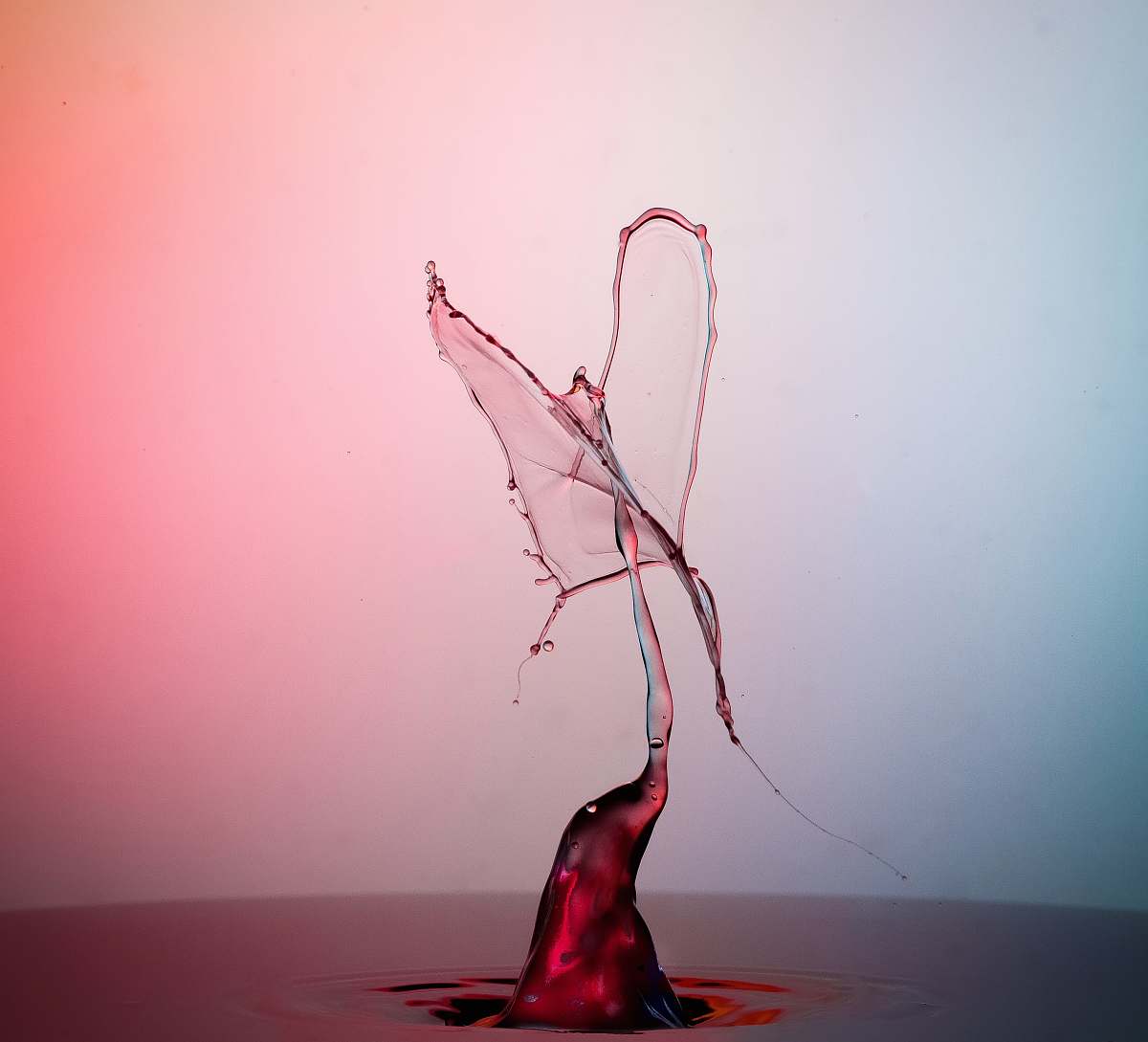 ikebana drop of water in shallow focus photography ornament