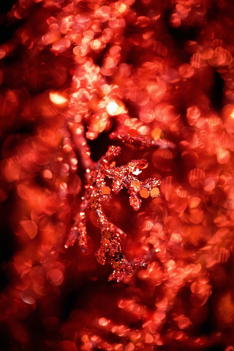light closeup photography of red flower glitter