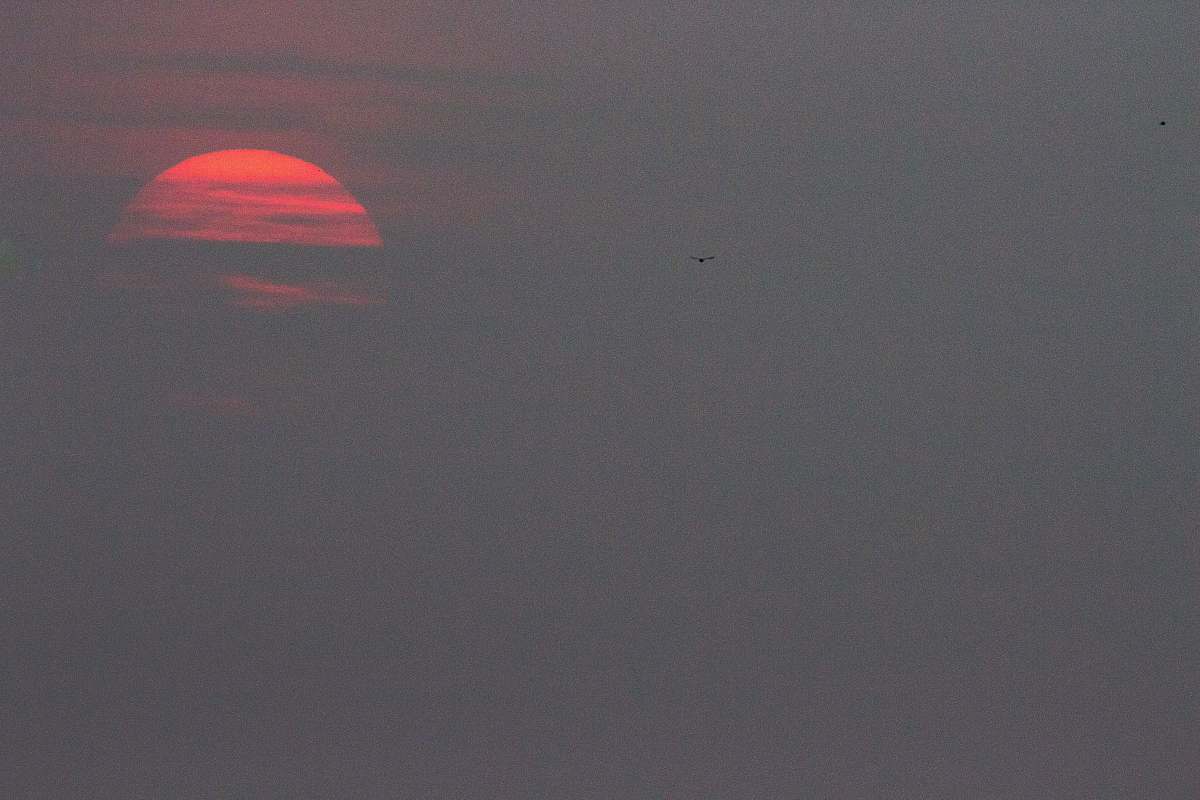 sky red full moon view outdoors