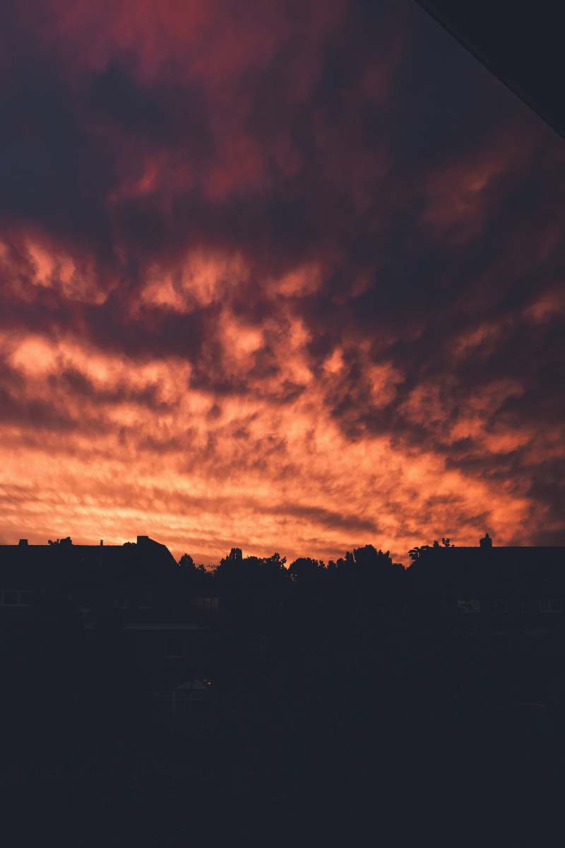 outdoors silhouette of trees under cloudy sky dusk