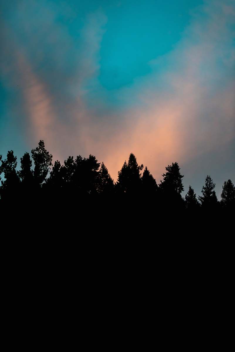 sky silhouette of trees under white clouds sunrise