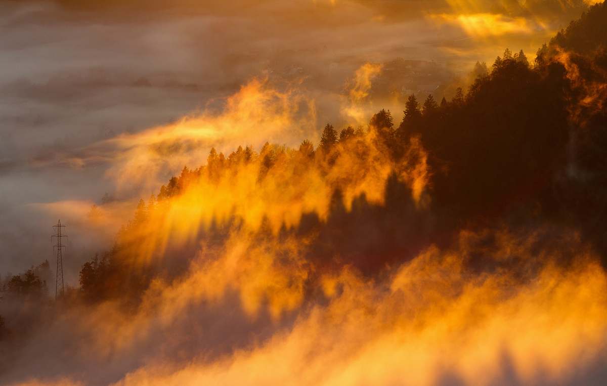bled silhouette of trees with fog under orange sky sunrise