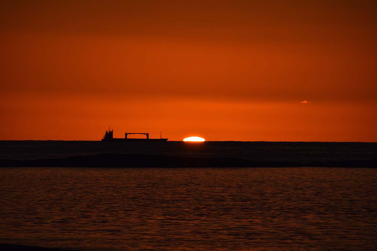 outdoors silhouette photography of seashore during golden hour sunlight