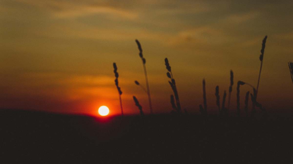 outdoors sunset sky