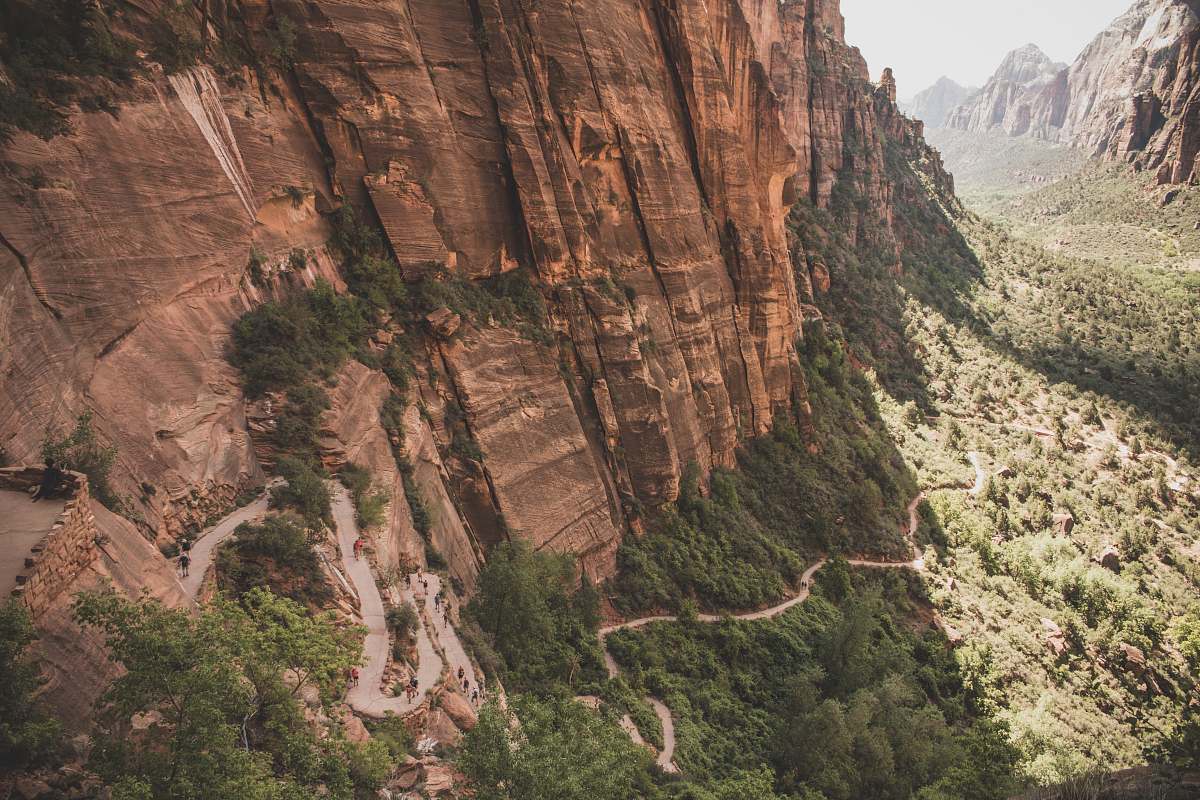 mountain top view of trees surrounding rock cliff valley