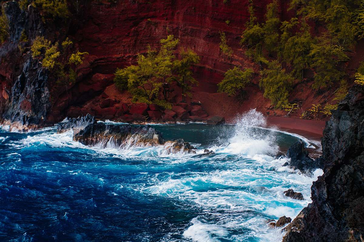 wallpaper water stream surrounded with bushes waves